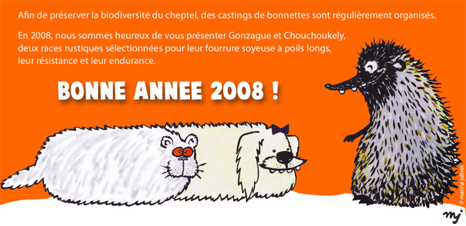 Bonne année 2008